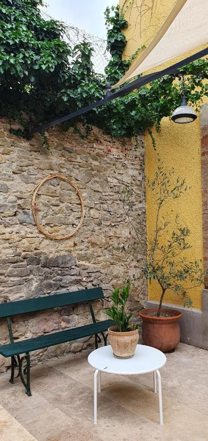 L'Ecole Buissonniere ! Villa Carcassonne Ngoại thất bức ảnh